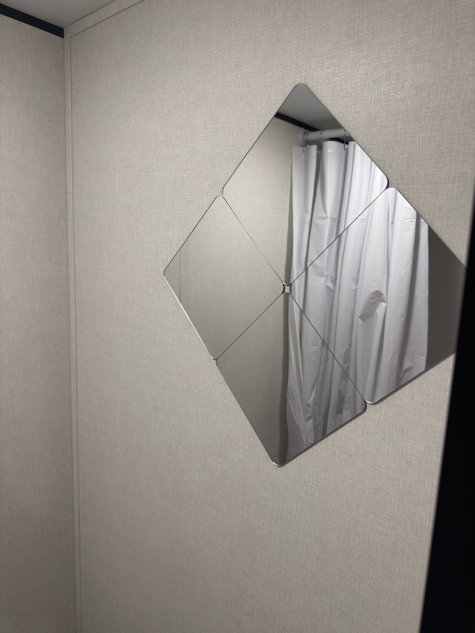 Vanity Mirror & Shower